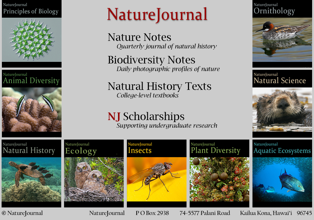  Nature Journal 